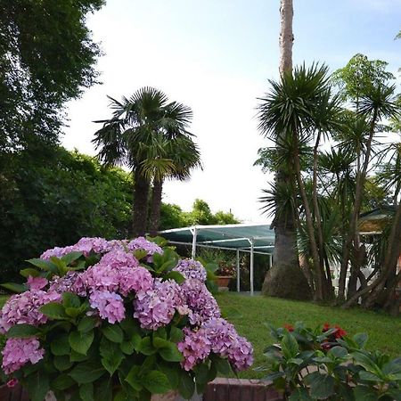 Il Piccolo Nido Bed & Breakfast Borgo Montenero Eksteriør bilde