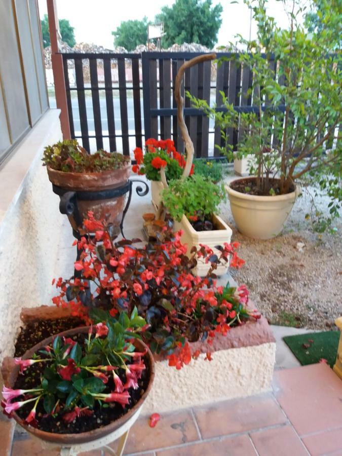Il Piccolo Nido Bed & Breakfast Borgo Montenero Eksteriør bilde